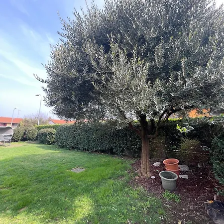 Daire Bnbook Casa Degli Ulivi *