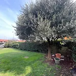 公寓 Bnbook Casa Degli Ulivi *