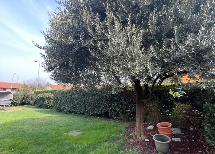 Apartman Casa Degli Ulivi *